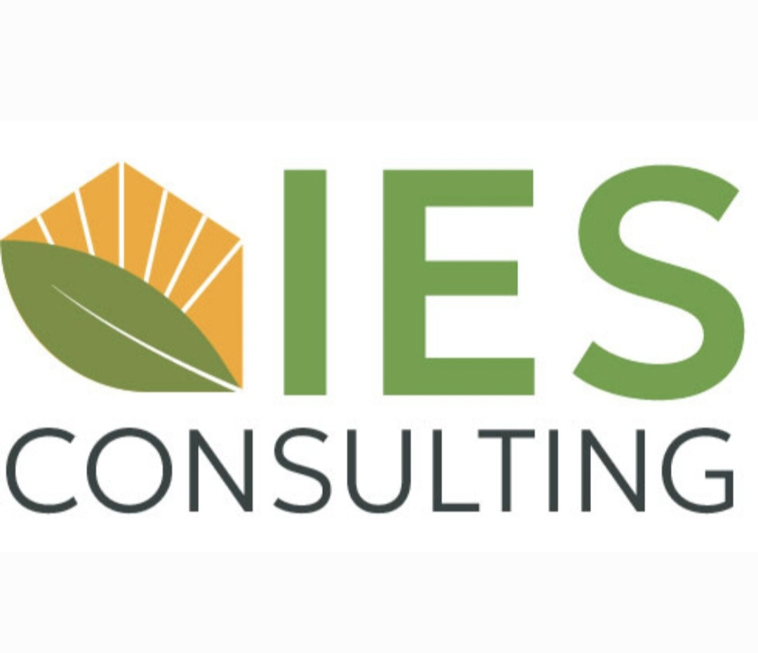 IES Consulting Logo